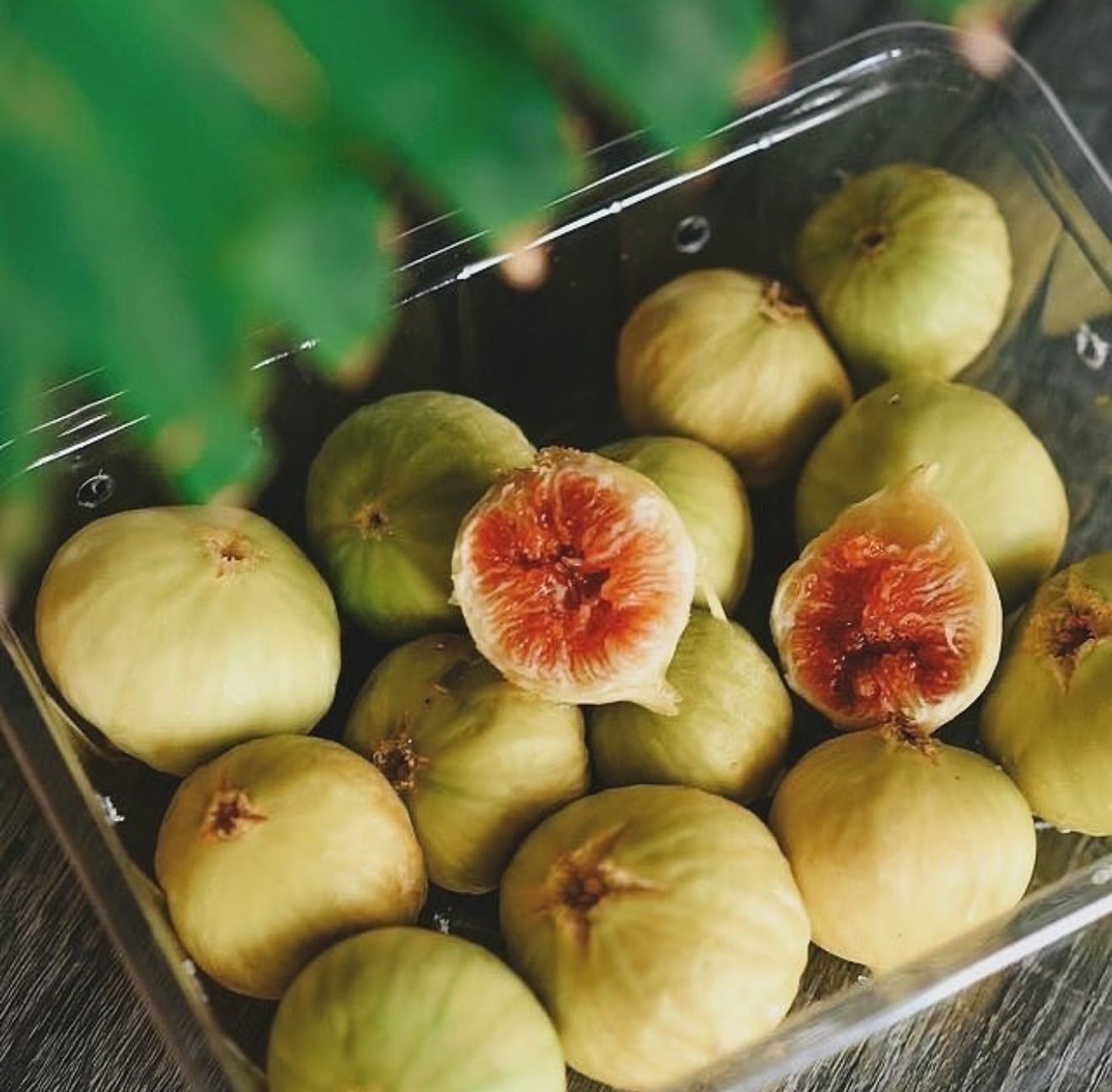 Fig box